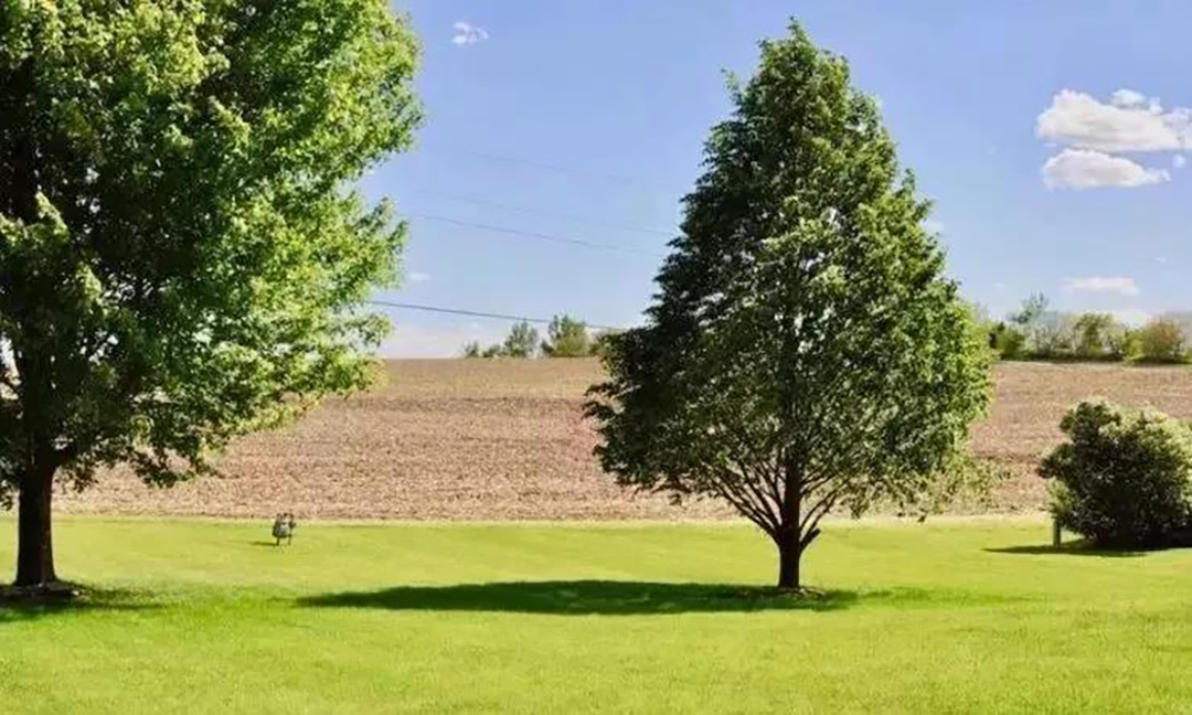 植樹節(jié)|守護綠色家園的秘密武器！