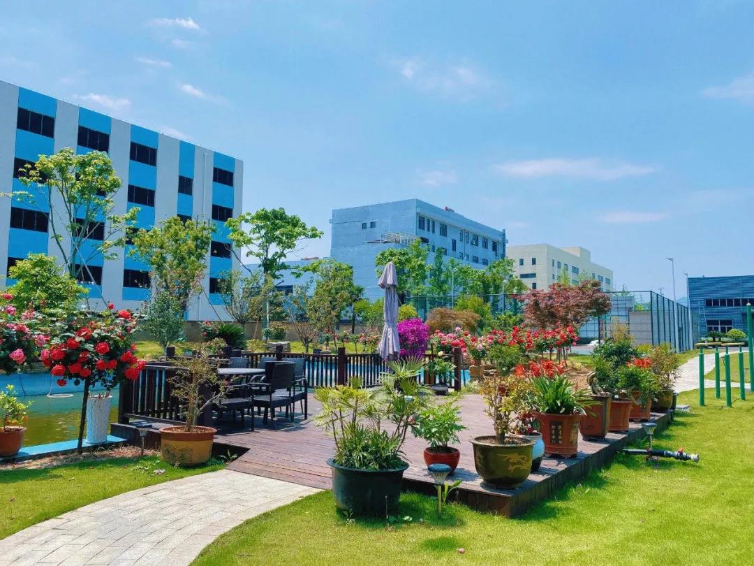 風景這邊獨好!東大環(huán)境美景一覽,請查收