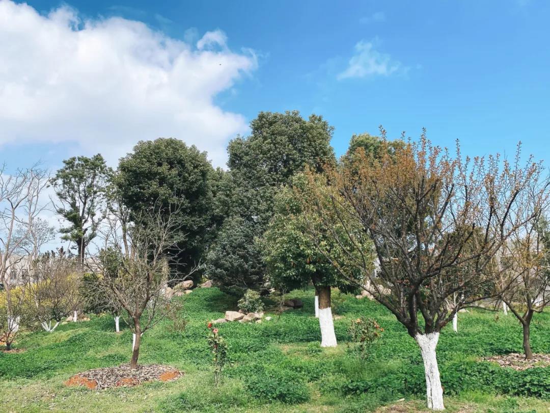 風景這邊獨好!東大環(huán)境美景一覽,請查收