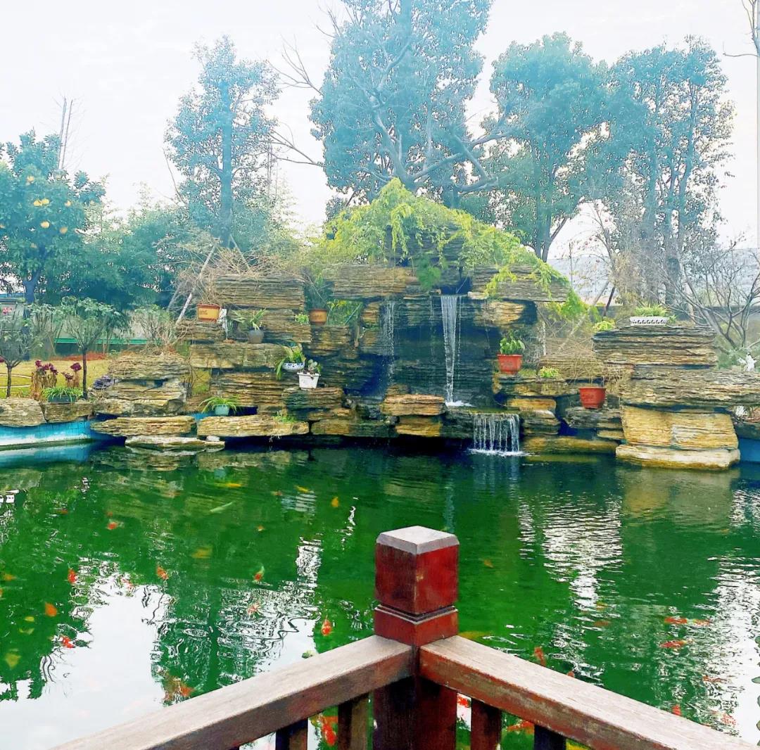 風景這邊獨好!東大環(huán)境美景一覽,請查收