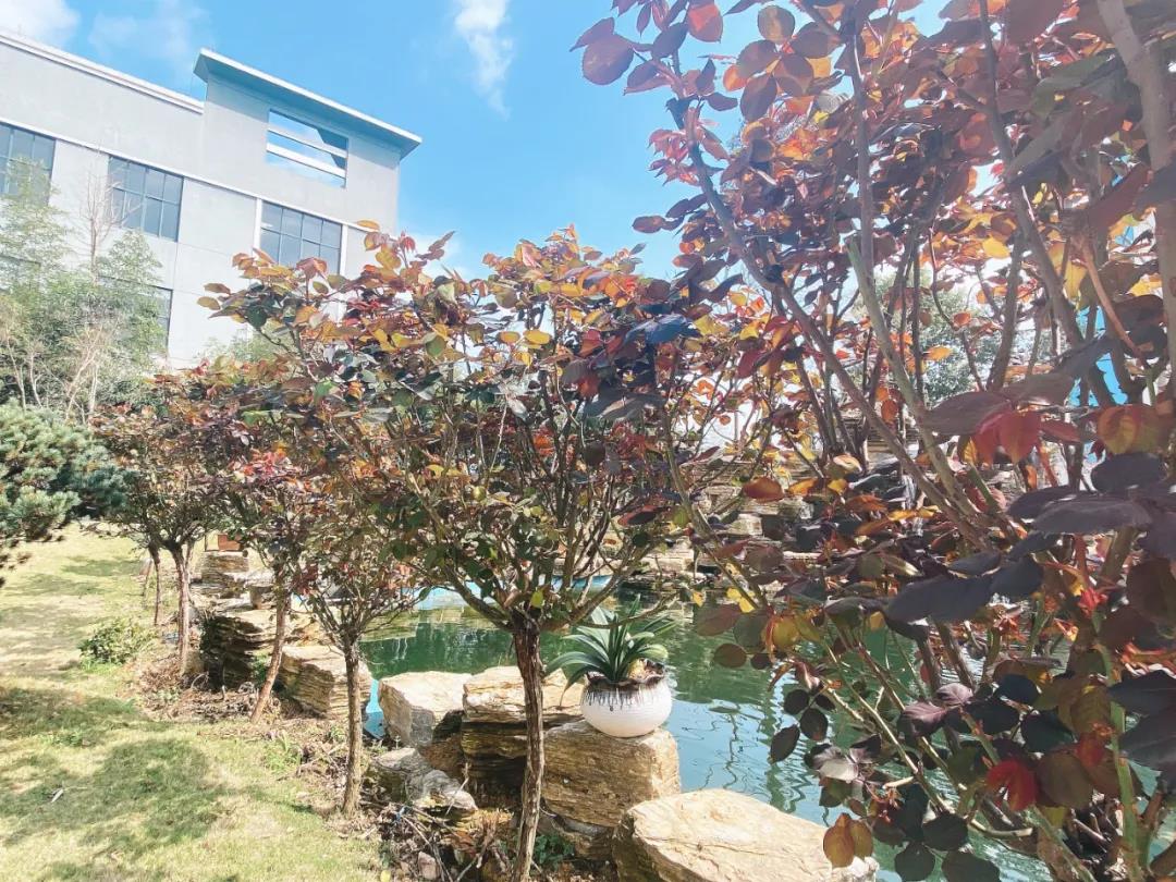 風景這邊獨好!東大環(huán)境美景一覽,請查收