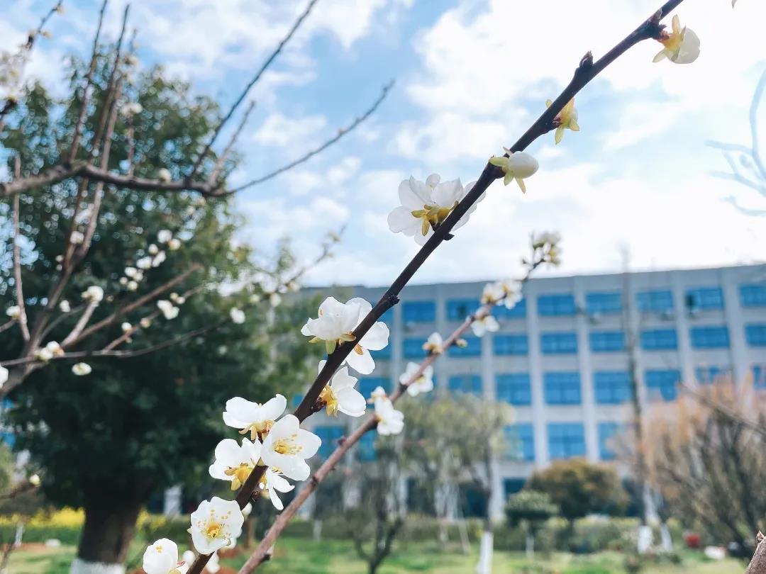 風景這邊獨好!東大環(huán)境美景一覽,請查收
