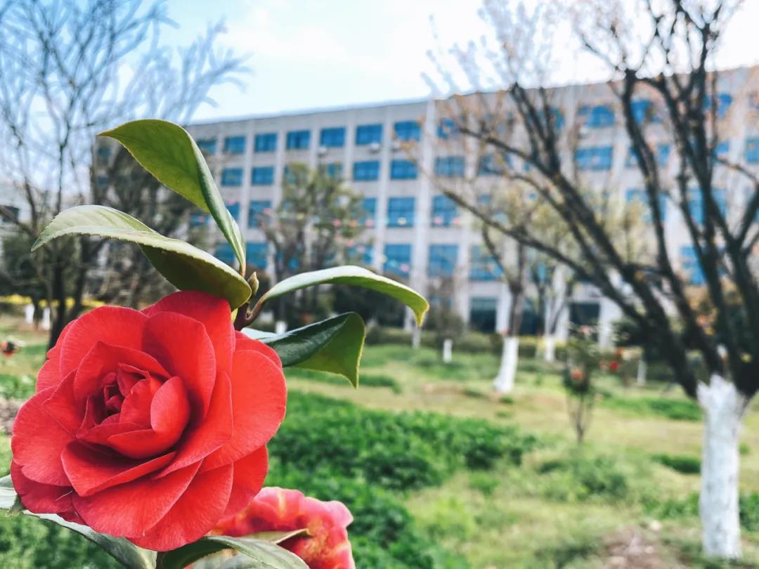 風景這邊獨好!東大環(huán)境美景一覽,請查收